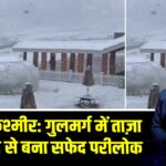 जम्मू-कश्मीर: गुलमर्ग में ताज़ा बर्फबारी से बना सफेद परीलोक