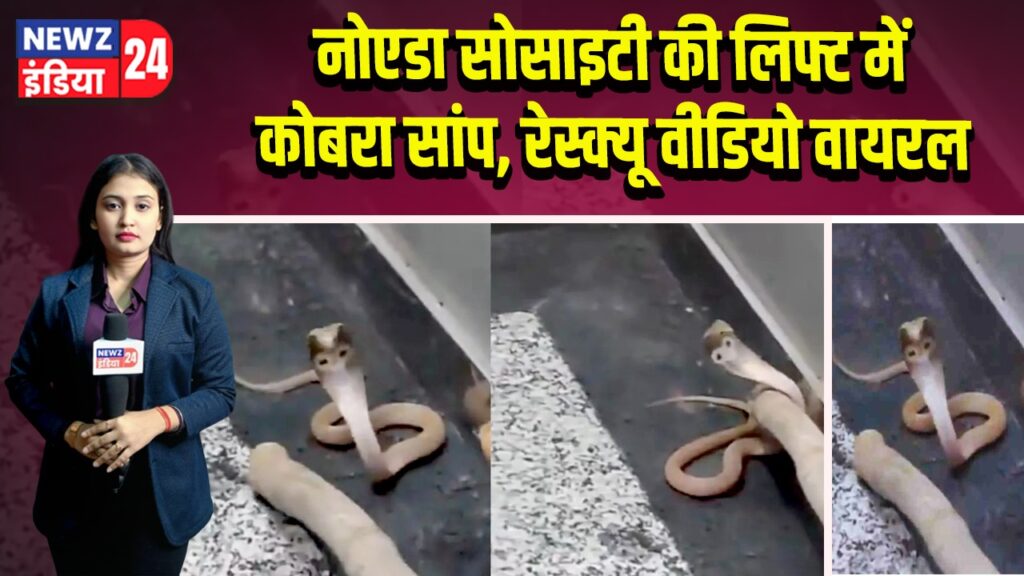 नोएडा सोसाइटी की लिफ्ट में कोबरा सांप, रेस्क्यू वीडियो वायरल