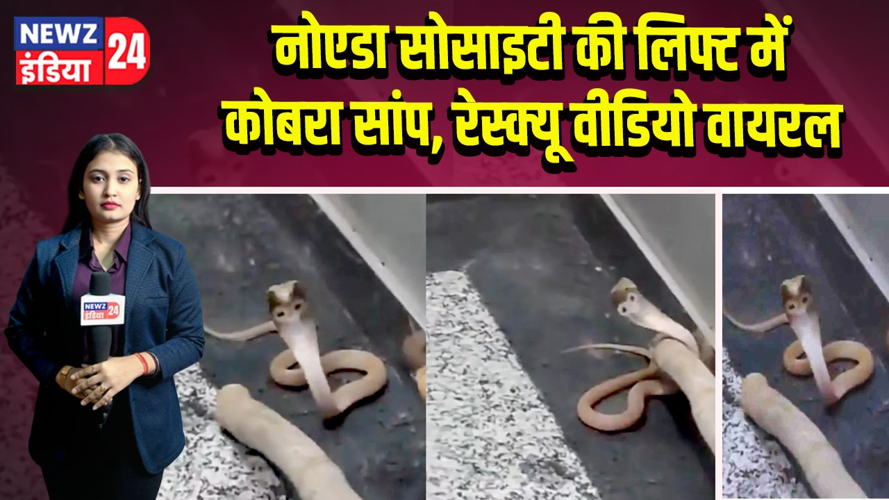 नोएडा सोसाइटी की लिफ्ट में कोबरा सांप, रेस्क्यू वीडियो वायरल