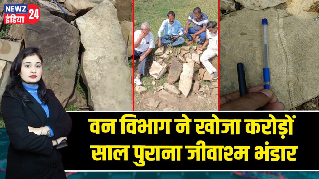 वन विभाग ने खोजा करोड़ों साल पुराना जीवाश्म भंडार