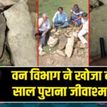 वन विभाग ने खोजा करोड़ों साल पुराना जीवाश्म भंडार