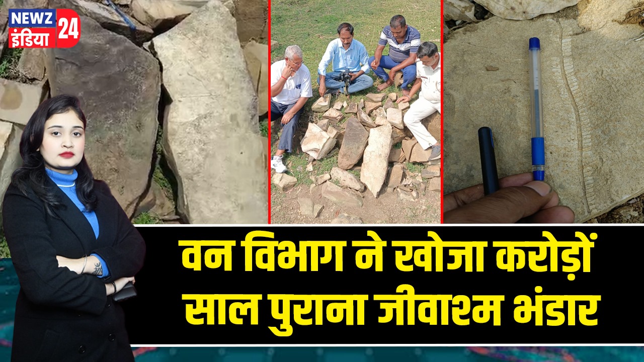 वन विभाग ने खोजा करोड़ों साल पुराना जीवाश्म भंडार