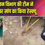 वन विभाग की टीम ने विषधर सांप का किया रेस्क्यू
