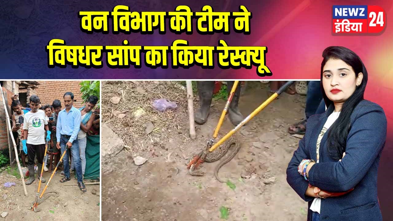 वन विभाग की टीम ने विषधर सांप का किया रेस्क्यू