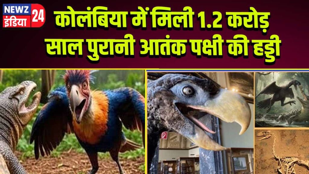 कोलंबिया में मिली 1.2 करोड़ साल पुरानी आतंक पक्षी की हड्डी