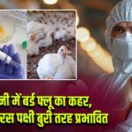 जर्मनी में बर्ड फ्लू का कहर, प्रवासी सारस पक्षी बुरी तरह प्रभावित