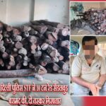 दिल्ली पुलिस STF ने 10 टन रेड सैंडलवुड बरामद की, दो तस्कर गिरफ्तार
