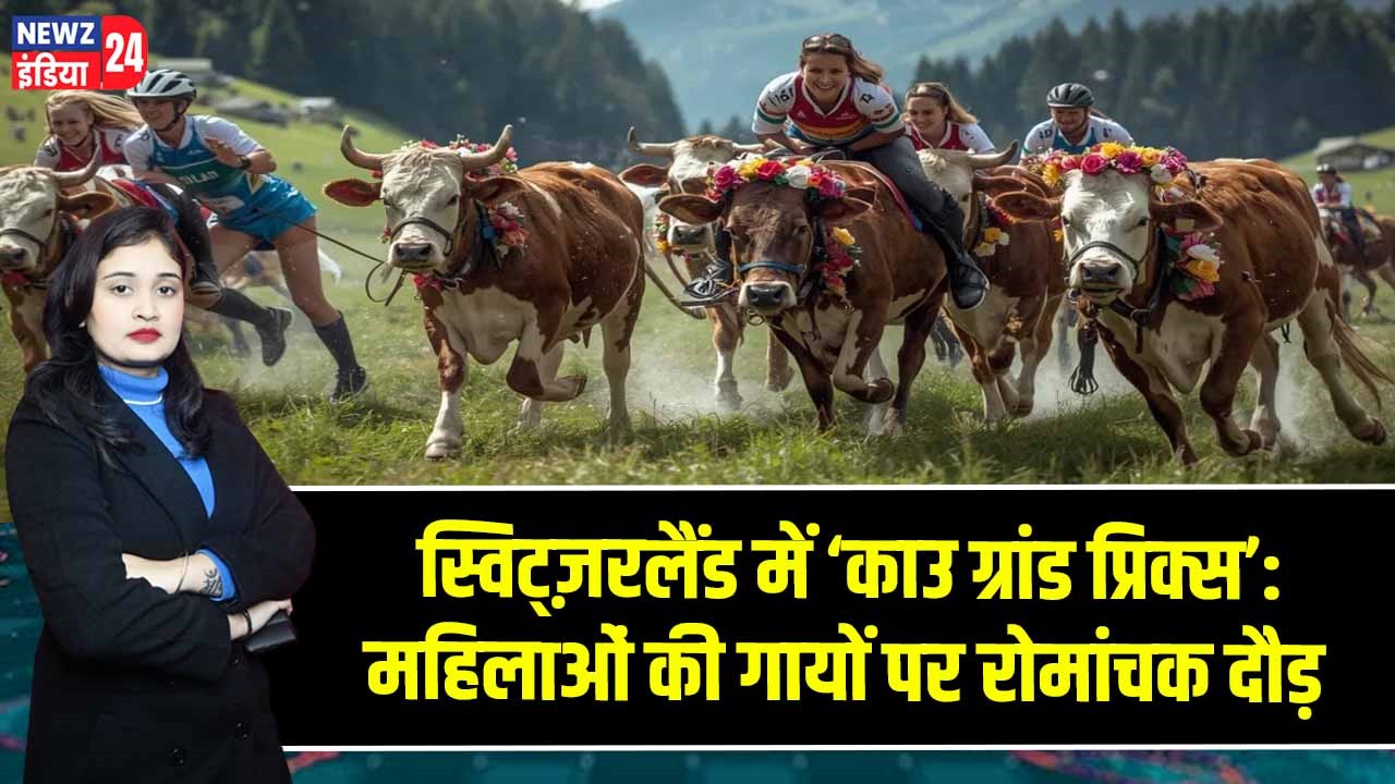 स्विट्ज़रलैंड में ‘काउ ग्रांड प्रिक्स’: महिलाओं की गायों पर रोमांचक दौड़ |