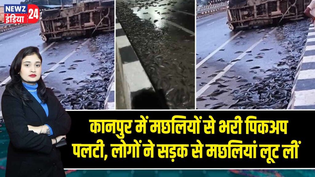 कानपुर में मछलियों से भरी पिकअप पलटी, लोगों ने सड़क से मछलियां लूट लीं 