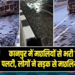 कानपुर में मछलियों से भरी पिकअप पलटी, लोगों ने सड़क से मछलियां लूट लीं 