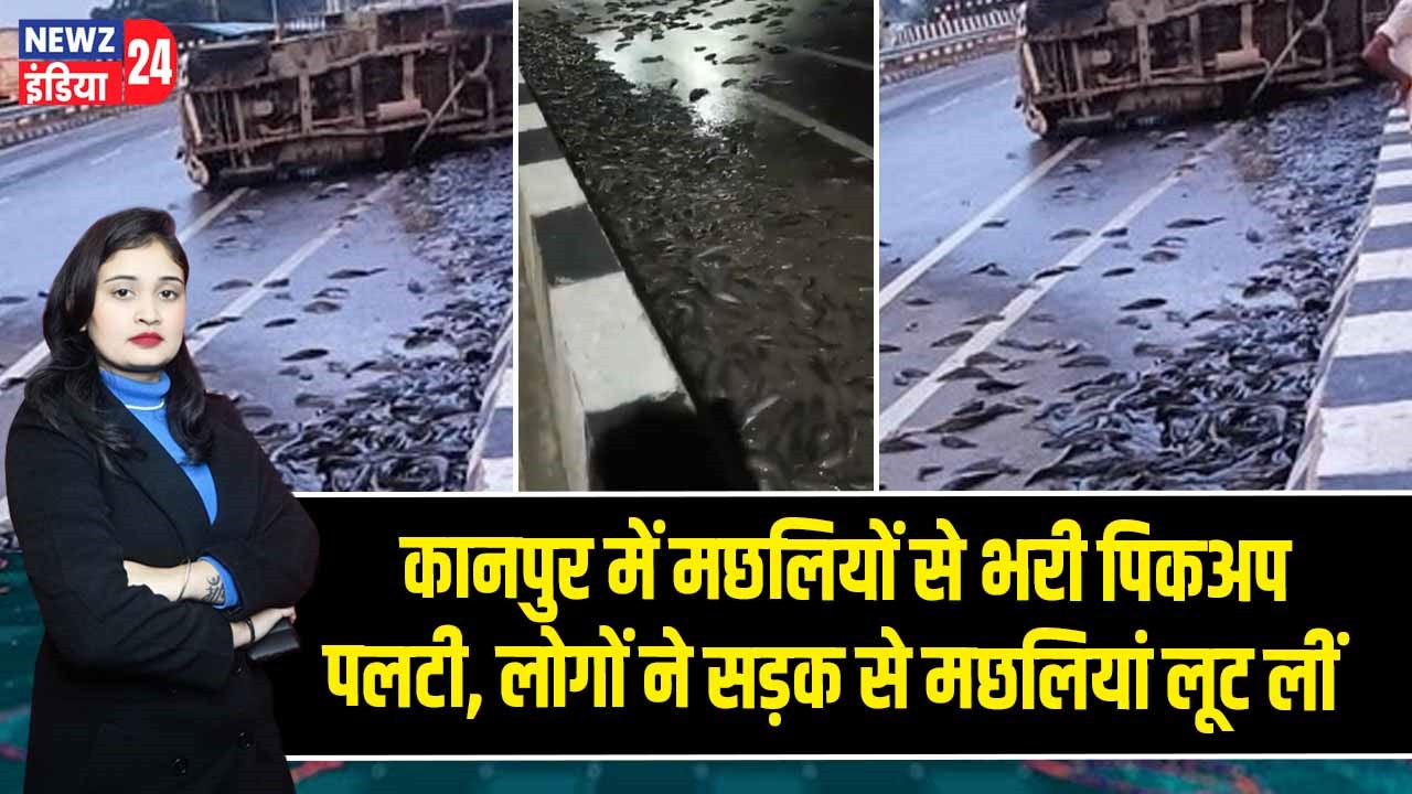 कानपुर में मछलियों से भरी पिकअप पलटी, लोगों ने सड़क से मछलियां लूट लीं