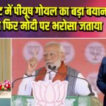 CII समिट में पीयूष गोयल का बड़ा बयान-बिहार ने फिर मोदी पर भरोसा जताया