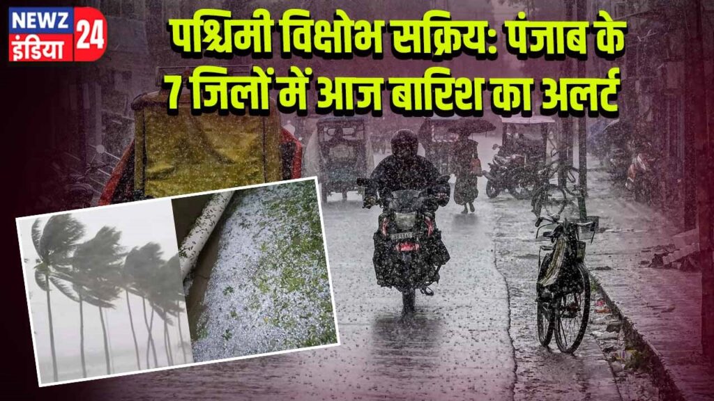 पश्चिमी विक्षोभ सक्रिय: पंजाब के 7 जिलों में आज बारिश का अलर्ट