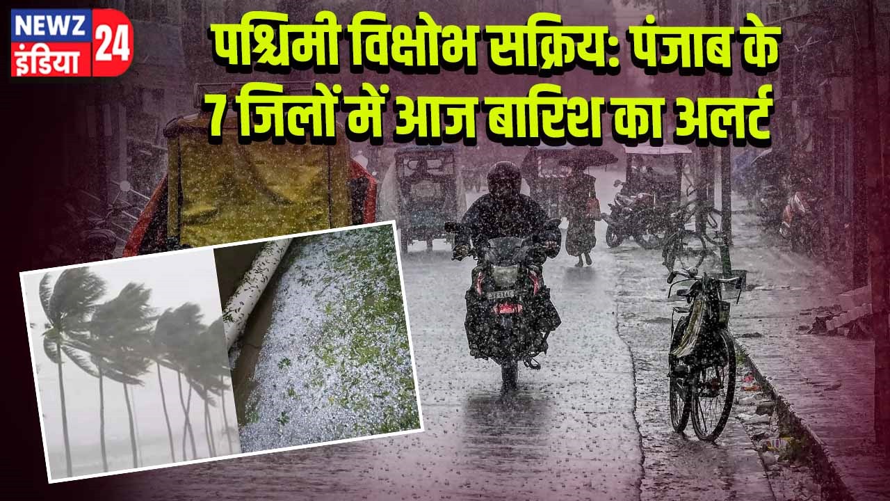 पश्चिमी विक्षोभ सक्रिय: पंजाब के 7 जिलों में आज बारिश का अलर्ट
