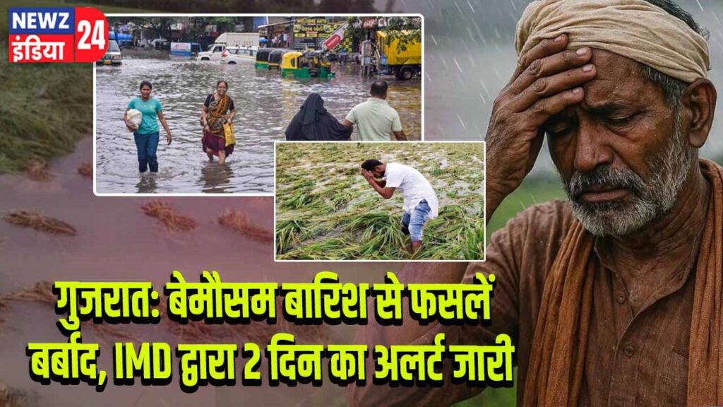 गुजरात: बेमौसम बारिश से फसलें बर्बाद, IMD द्वारा 2 दिन का अलर्ट जारी