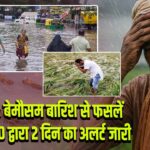 गुजरात: बेमौसम बारिश से फसलें बर्बाद, IMD द्वारा 2 दिन का अलर्ट जारी