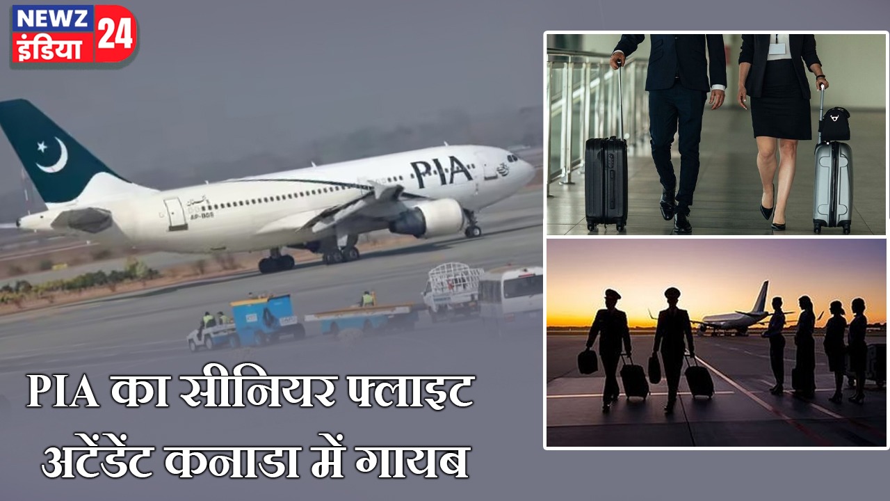 PIA का सीनियर फ्लाइट अटेंडेंट कनाडा में गायब