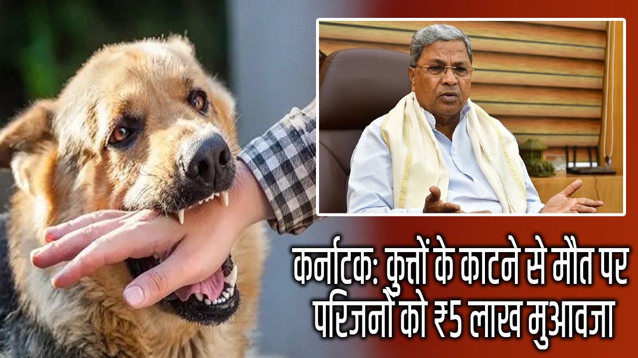 कर्नाटक: कुत्तों के काटने से मौत पर परिजनों को ₹5 लाख मुआवजा