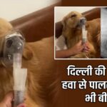 दिल्ली की जहरीली हवा से पालतू जानवर भी बीमार