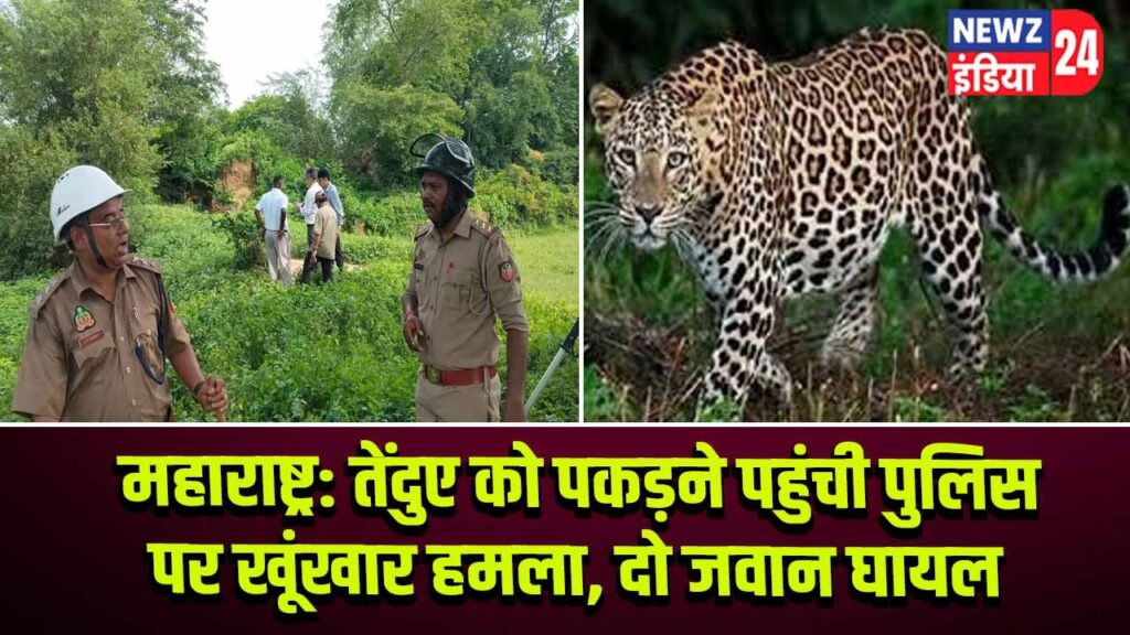 महाराष्ट्र: तेंदुए को पकड़ने पहुंची पुलिस पर खूंखार हमला, दो जवान घायल