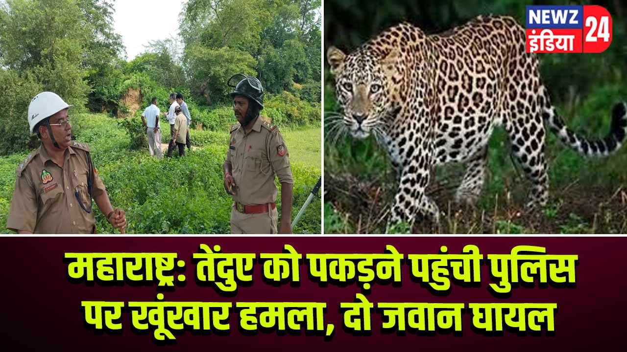 महाराष्ट्र: तेंदुए को पकड़ने पहुंची पुलिस पर खूंखार हमला, दो जवान घायल