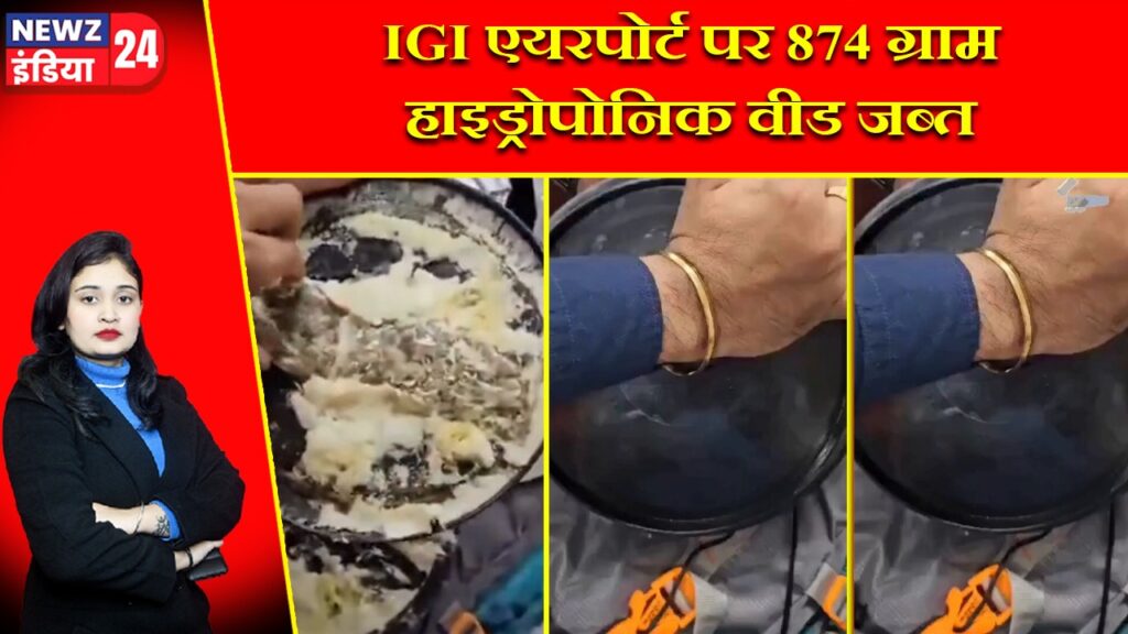 IGI एयरपोर्ट पर 874 ग्राम हाइड्रोपोनिक वीड जब्त