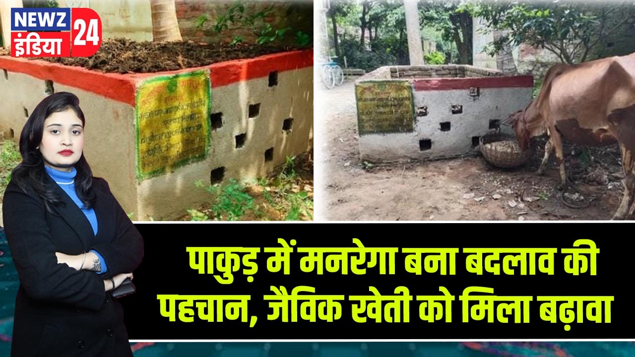 पाकुड़ में मनरेगा बना बदलाव की पहचान, जैविक खेती को मिला बढ़ावा