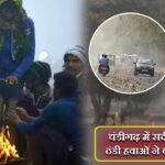 चंडीगढ़ में सर्दी का कहर, ठंडी हवाओं ने बढ़ाई ठिठुरन