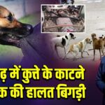 अलीगढ़ में कुत्ते के काटने से युवक की हालत बिगड़ी |