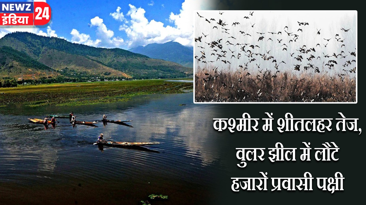 कश्मीर में शीतलहर तेज, वुलर झील में लौटे हजारों प्रवासी पक्षी