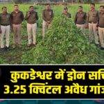 कुकडेश्वर में ड्रोन सर्चिंग से 3.25 क्विंटल अवैध गांजा जब्त