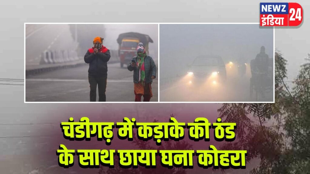 चंडीगढ़ में कड़ाके की ठंड के साथ छाया घना कोहरा