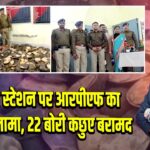 बरहरवा स्टेशन पर आरपीएफ का बड़ा कारनामा, 22 बोरी कछुए बरामद 