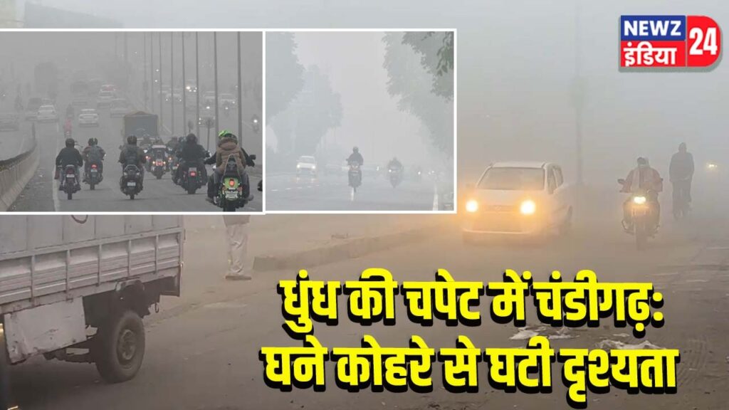धुंध की चपेट में चंडीगढ़:घने कोहरे से घटी दृश्यता