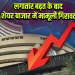 लगातार बढ़त के बाद शेयर बाजार में मामूली गिरावट