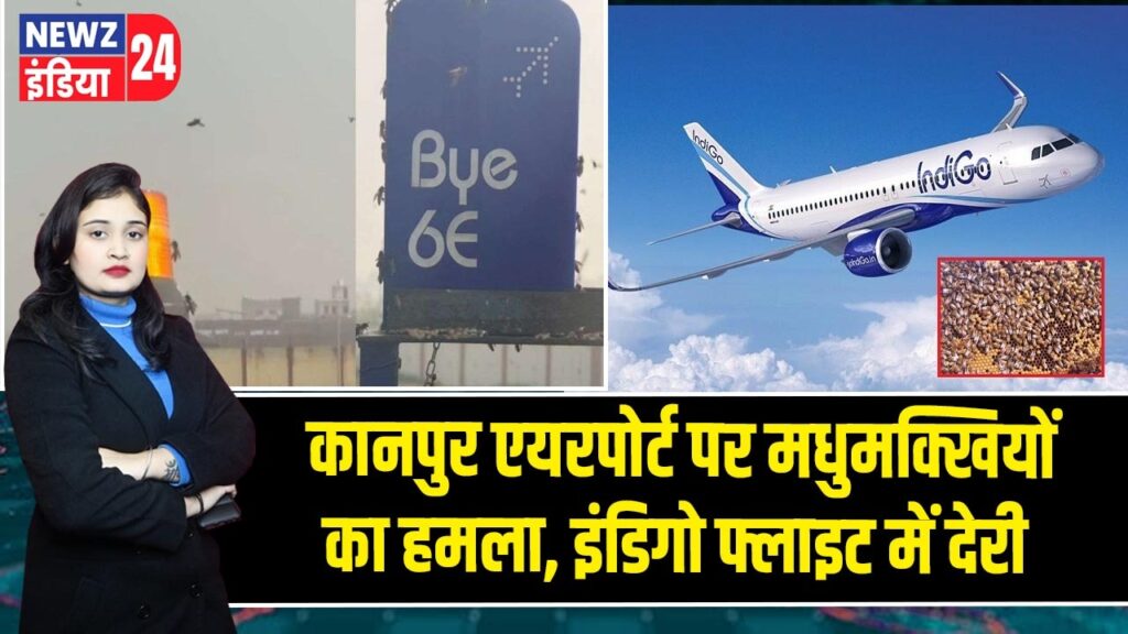 कानपुर एयरपोर्ट पर मधुमक्खियों का हमला, इंडिगो फ्लाइट में देरी |
