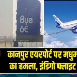 कानपुर एयरपोर्ट पर मधुमक्खियों का हमला, इंडिगो फ्लाइट में देरी |