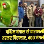 पश्चिम बंगाल से वाराणसी जा रहा तस्कर गिरफ्तार, 400 जंगली तोते जब्त