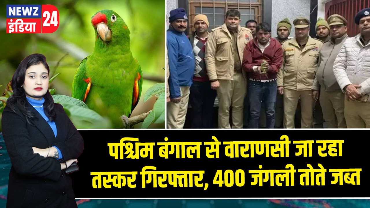 पश्चिम बंगाल से वाराणसी जा रहा तस्कर गिरफ्तार, 400 जंगली तोते जब्त