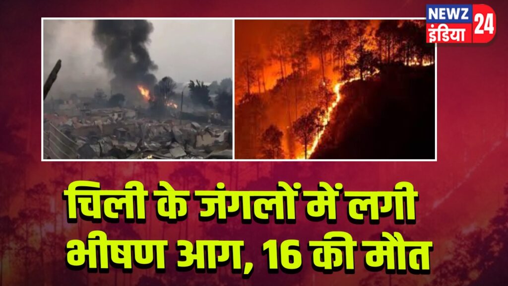 चिली के जंगलों में लगी भीषण आग, 16 की मौत 