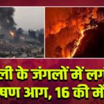 चिली के जंगलों में लगी भीषण आग, 16 की मौत 