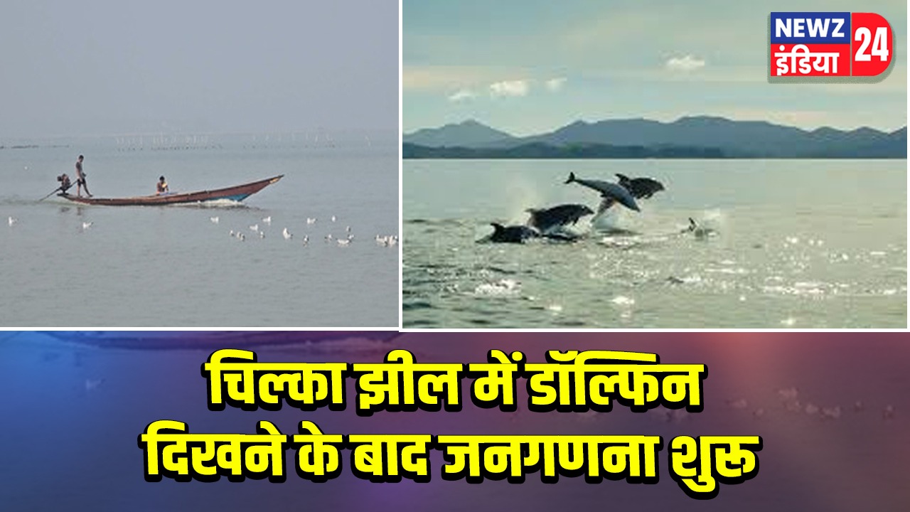 चिल्का झील में डॉल्फिन दिखने के बाद जनगणना शुरू