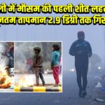 दिल्ली में मौसम की पहली शीत लहर, न्यूनतम तापमान 2.9 डिग्री तक गिरा |