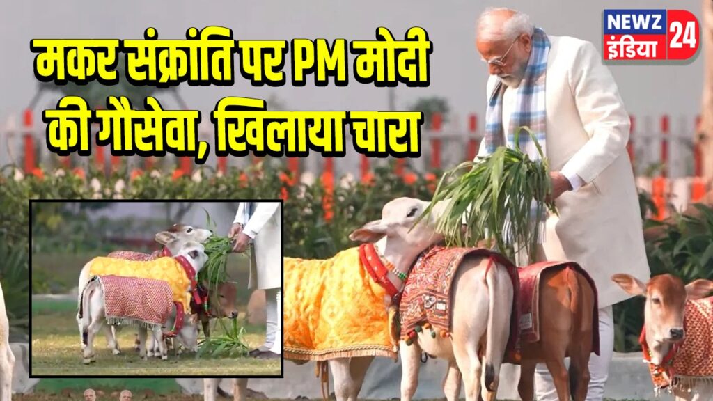 मकर संक्रांति पर PM मोदी की गौसेवा, खिलाया चारा