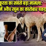 पशु क्रूरता का सबसे बड़ा मामला: हैदराबाद में अवैध खून का कारोबार पकड़ा