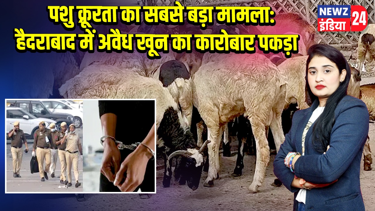 पशु क्रूरता का सबसे बड़ा मामला: हैदराबाद में अवैध खून का कारोबार पकड़ा