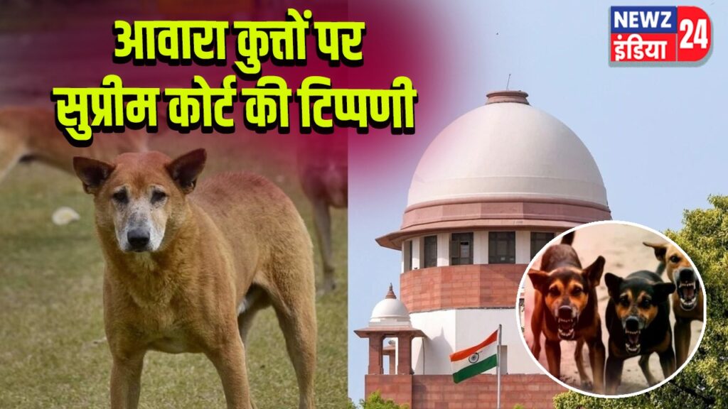 आवारा कुत्तों पर सुप्रीम कोर्ट की टिप्पणी