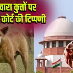 आवारा कुत्तों पर सुप्रीम कोर्ट की टिप्पणी