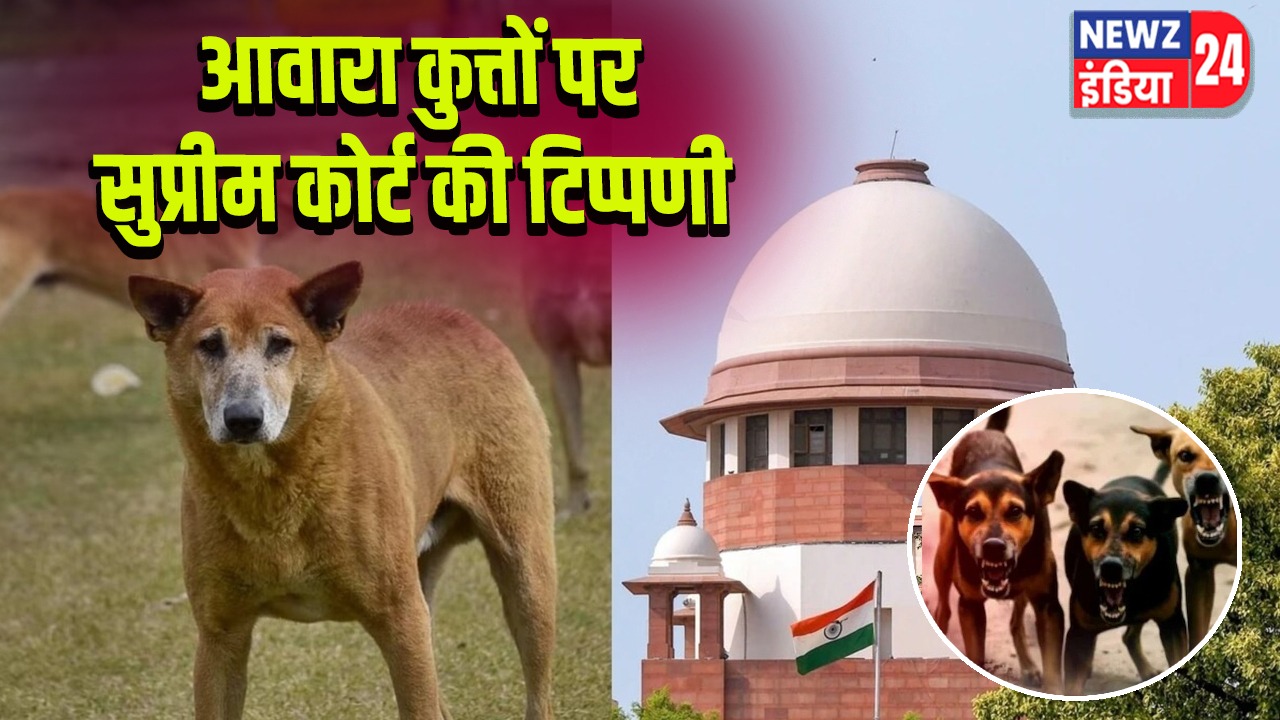 आवारा कुत्तों पर सुप्रीम कोर्ट की टिप्पणी
