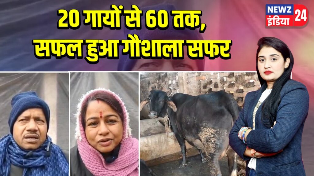 20 गायों से 60 तक, सफल हुआ गौशाला सफर |